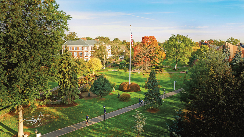 adelphi Univeristy