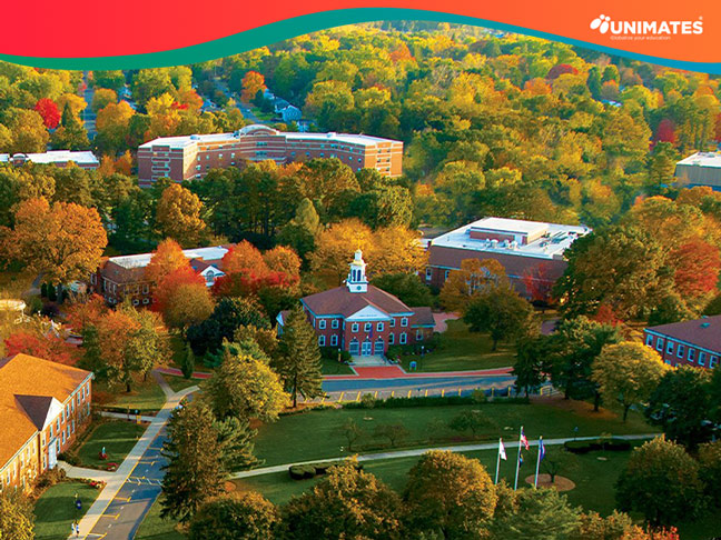 Western New England University