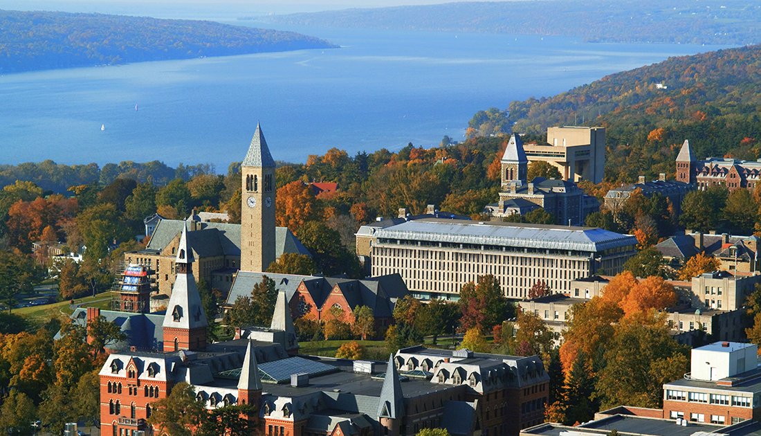 trường đại học cornell áp dụng chính sách test-optional