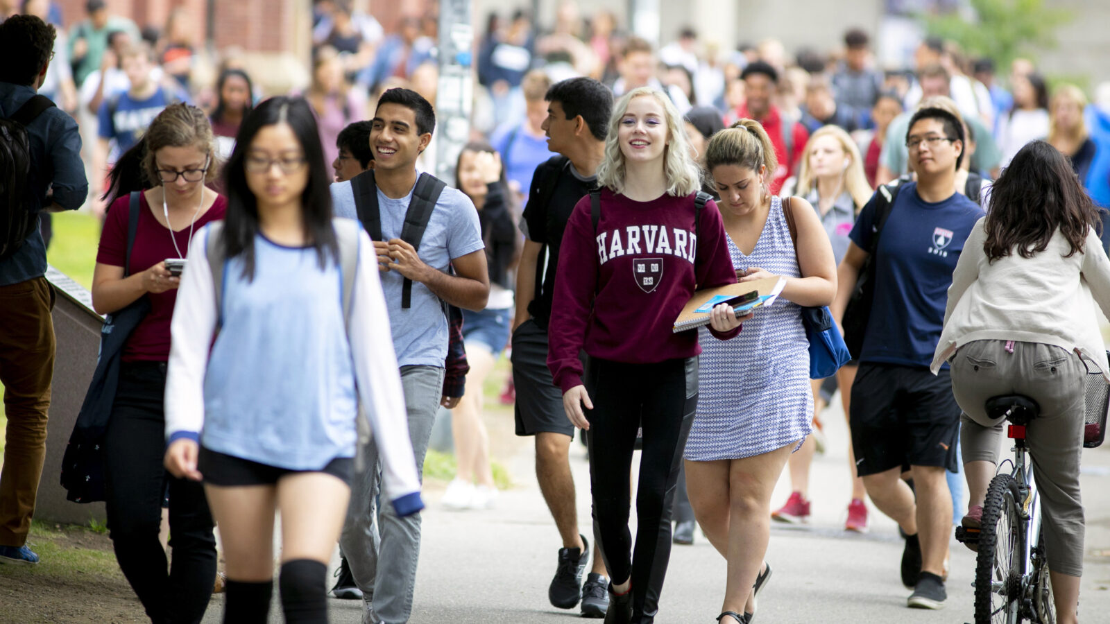 Sinh viên Harvard