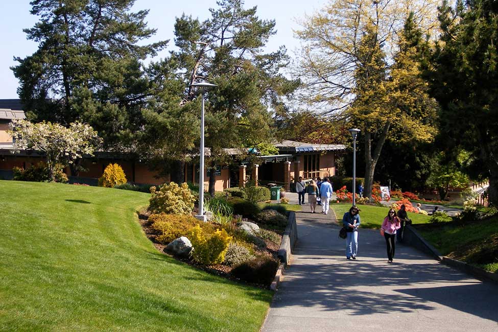 Sinh viên tại khuôn viên Shoreline Community College - một trường CDCD phổ biến đối với sinh viên quốc tế.