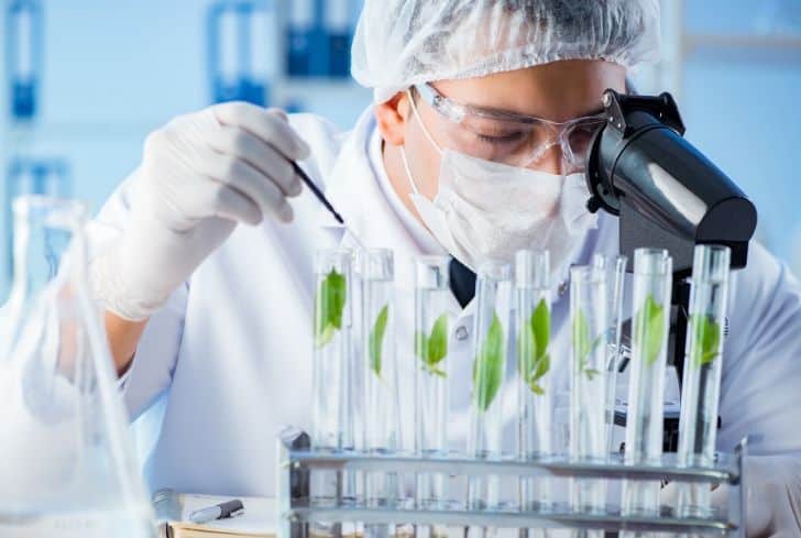 Ngành Công nghệ sinh học (Biotechnology) là gì?