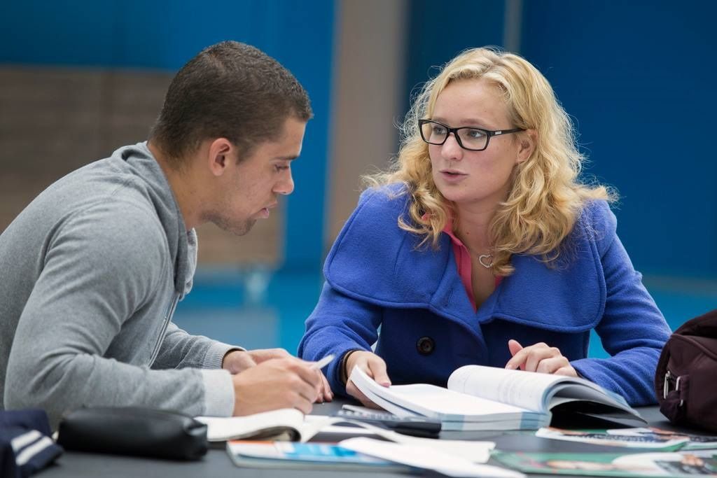 Hỏi Cố vấn học thuật những gì