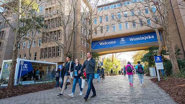 Úc cấp nhiều học bổng cho sinh viên quốc tế