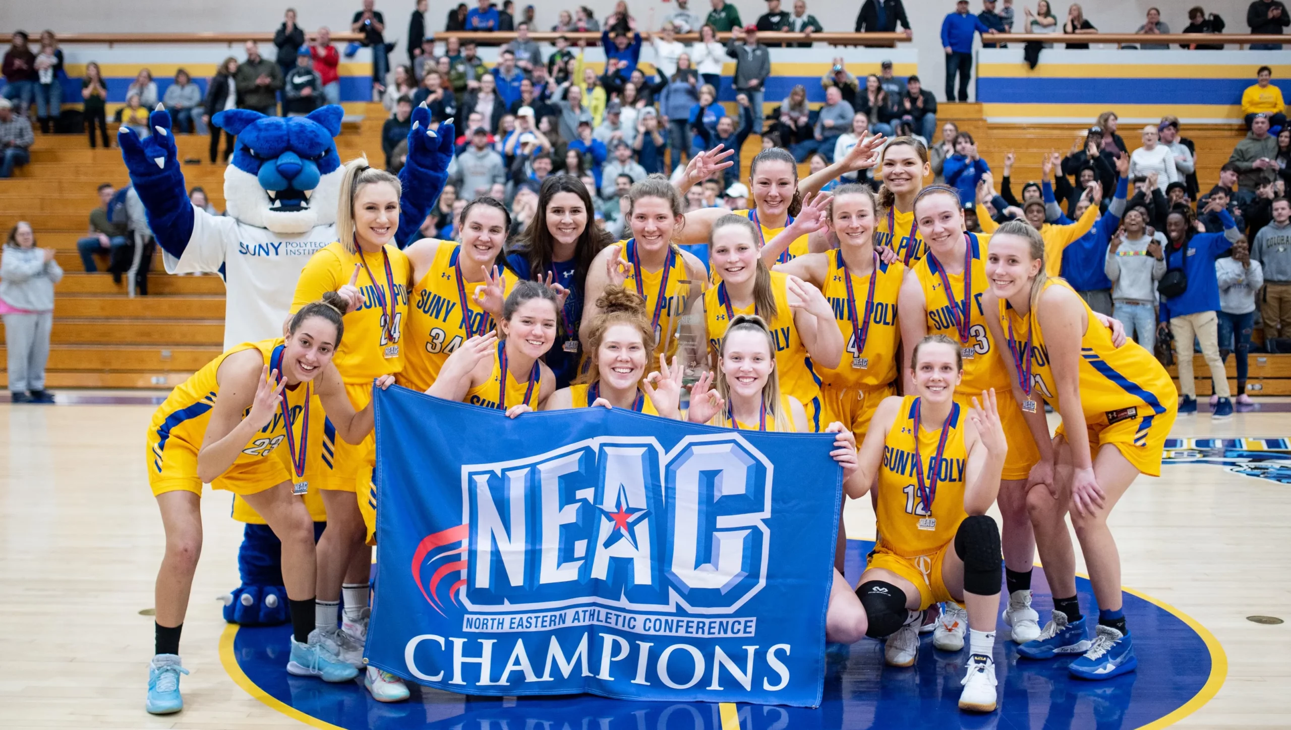 SUNY-Polytechnic-Institute-cover